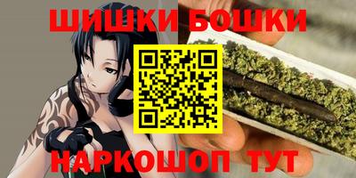 шишки Будённовск