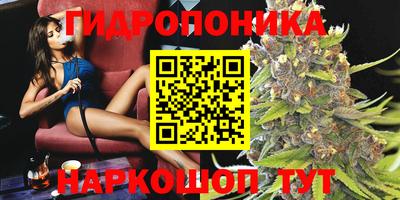 шишки Будённовск