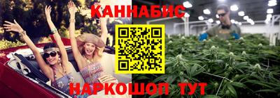 шишки Будённовск