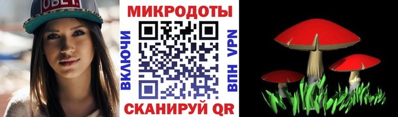 Галлюциногенные грибы мухоморы Карталы