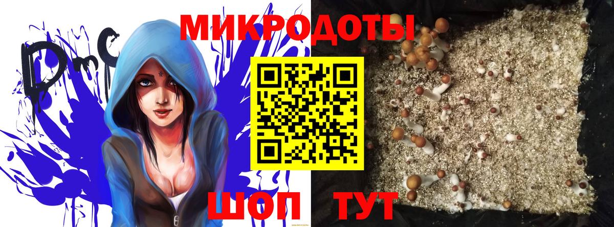 Псилоцибиновые грибы Psilocybine cubensis Карталы